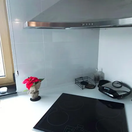 Jtower Mamaia-nord Apartman *